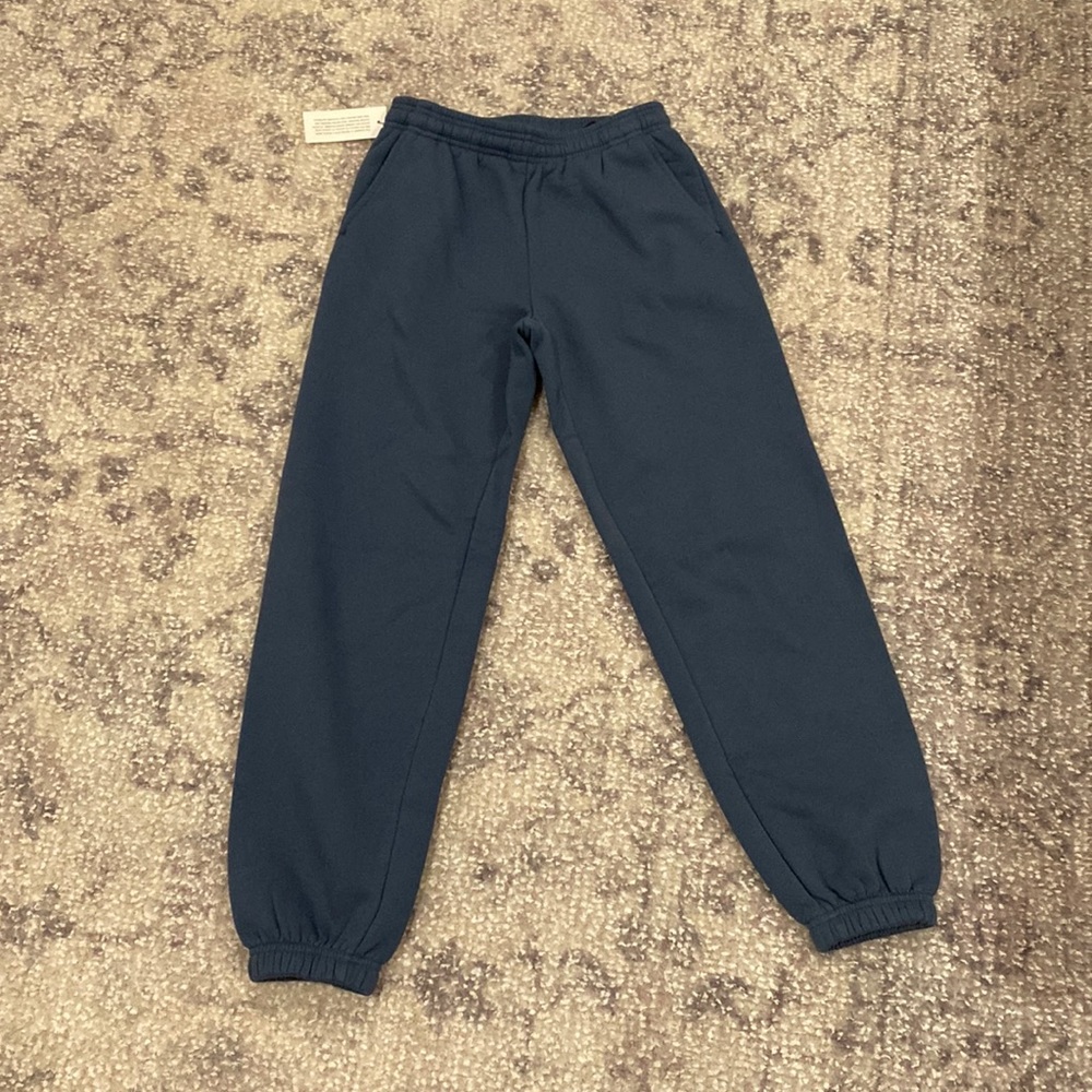 NWT ARITZIA Blue Sweatpants SIZE:XXS